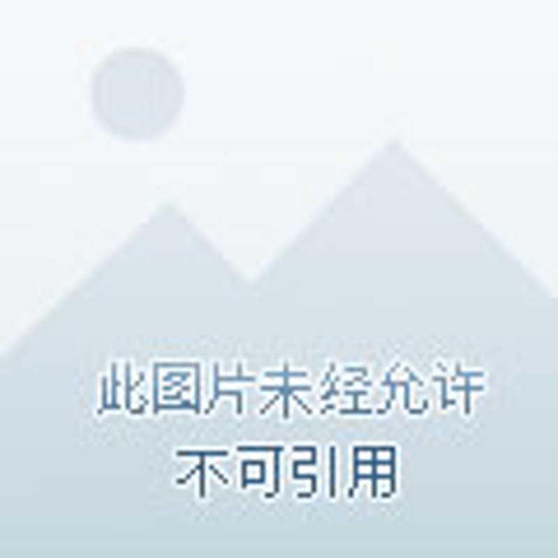 鱼丸协会